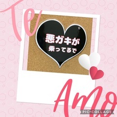 キッズインカー系吸盤タイプ