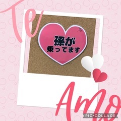 キッズインカー系吸盤タイプ