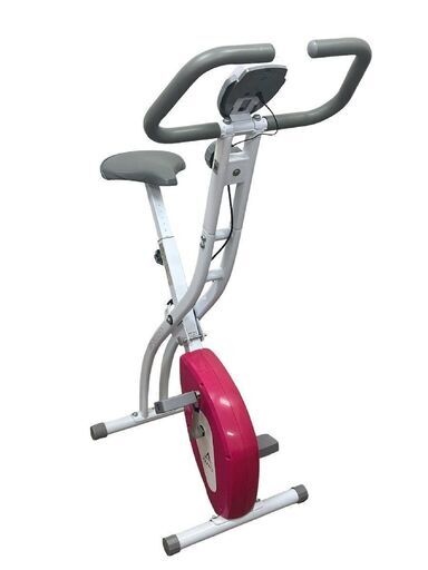 ALINCO アルインコ クロスバイク AFB4417 折りたたみ フィットネスバイク 健康器具 ダイエット トレーニング ながら運動