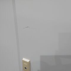 内田洋行｜UCHIDA｜ガラス戸｜引違い書庫｜スライド書庫｜棚板4枚 の画像