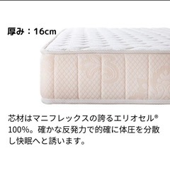 【取引中】マニフレックス マットレス モデル246 ダブルサイズ　お譲りしますの画像