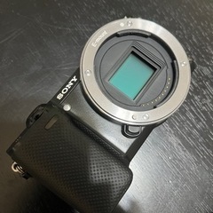 SONY NEX 5Rの画像