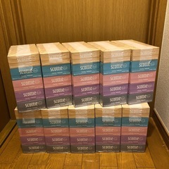【決まりました】ボックスティッシュ10ケース（50箱）