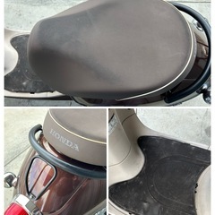 ホンダ ジョルノ AF70 人気車 低走行の画像