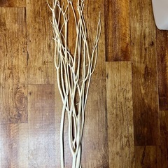 ドライフラワーミツマタ（枝）