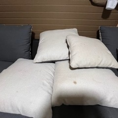 ニトリ　キングダムの画像