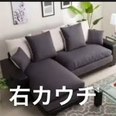 ニトリ　キングダムの画像