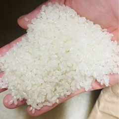群馬県の玄米の中古が安い！激安で譲ります・無料であげます