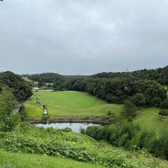 【平日可能な方募集】ゴルフ仲間募集してます⛳調布のショートコースから行きませんか - 小平市