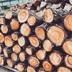薪　広葉樹（クリ）軽トラ販売の画像