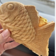 ２月８日(土)１５時〜１Ｈ程度ユンタク🎵美浜❣️ - 那覇市