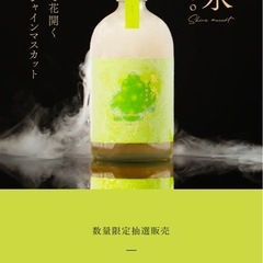 お値下げしました❗️翠氷-SHINE MUSCAT- 抽選販売品シャイン