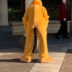 ディズニーシーに行きたい方募集です − 千葉県