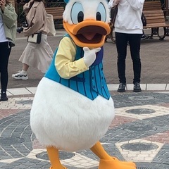 ディズニーシーに行きたい方募集です - メンバー募集