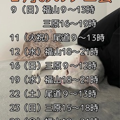 ２月おのテニ会（尾道ソフトテニスの会）2025 - 尾道市