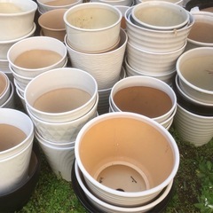 陶器、プラスチックの鉢