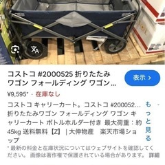 値下げしました【未使用品】キャリーワゴン コストコの画像