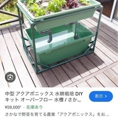 アクアポニックス　水耕栽培