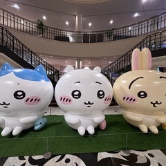 男女の友情は成立します！