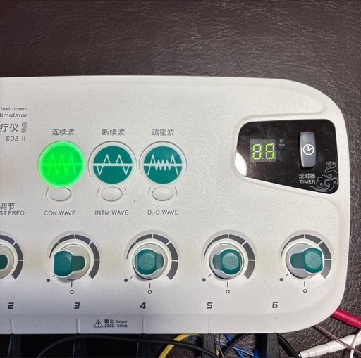 中国式 鍼 パルス