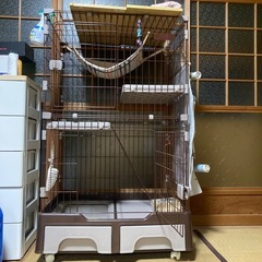 キャットケージの画像
