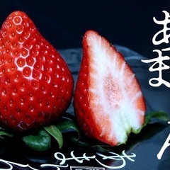🈵【現8】2/9足利イルミ＆1番甘い苺🍓＆雪景色＆群馬グルメ@旅...