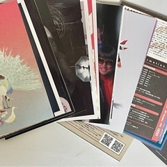 椎名林檎　Sheena Ringo BoOk & デケード詰め合わせBoXの画像