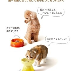 ル・クルーゼ　ペットボウルオレンジ🧡単品売りの画像