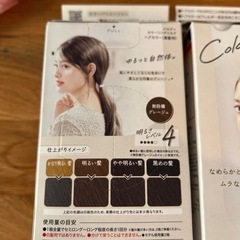 カラー剤　グレージュ　ヘアカラー乳液　パルティの画像