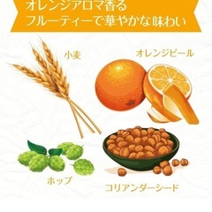 半額以下⭐️人気⭐️ホワイトビール⭐️330ml×24本の画像