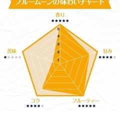 半額以下⭐️人気⭐️ホワイトビール⭐️330ml×24本の画像
