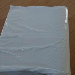 (取引中)トゥルースリーパーごろ寝マット