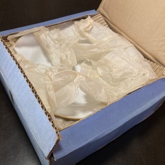 【新品未使用】昭和レトロ　ホワイト×ゴールド縁のカレー皿×5 Takiich タキイチの画像