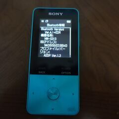 WALKMAN ウォークマンNW-S313【値下げ】