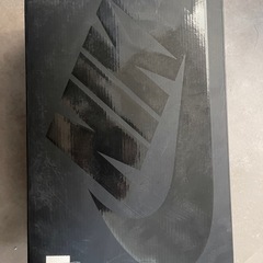 靴箱・Supreme/Nike Air StreakSpectr...