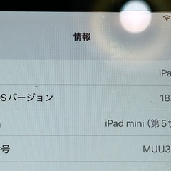 iPad mini 5の画像