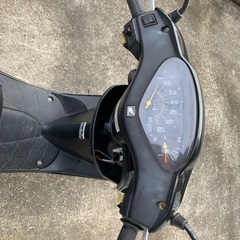 ホンダディオの画像