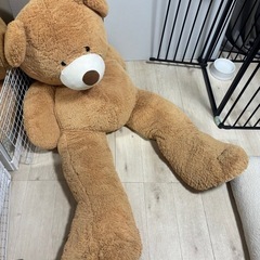 巨大くまさんぬいぐるみ
