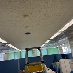 【福利厚生完備】働く意欲があれば採用‼️ 職人さん募集‼️株式会社　コウセイ(内装業）の画像