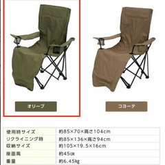 ビジョンピークス(VISIONPEAKS) リクライニング アームチェアDXの画像