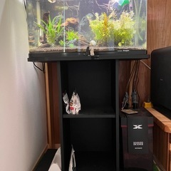 水槽60センチセット
