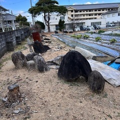 庭石