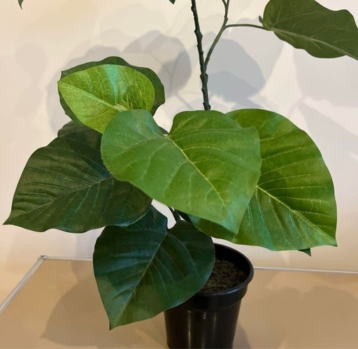 【美品】フェイクグリーン　ウンベラータ約63cm 黒鉢※ご希望の方へ鉢カバー付き