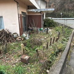 伐採・抜根やります！ - 剪定/造園