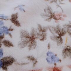 購入者決定✿未使用エクセレント毛布２枚セットの画像