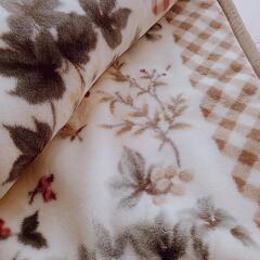 購入者決定✿未使用エクセレント毛布２枚セットの画像