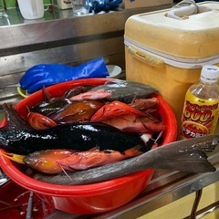 名護周辺　2馬力ボート　レンタル