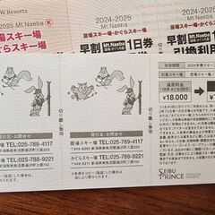 苗場スキー場・かぐらスキー場1日リフト券 4日分(チケット2枚)の画像