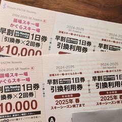 苗場スキー場・かぐらスキー場1日リフト券 4日分(チケット2枚)