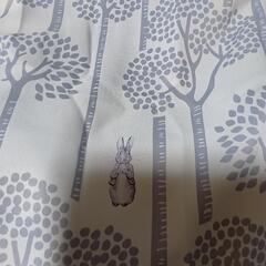 ピータラビットの遮光カーテンとレースのカーテンの画像